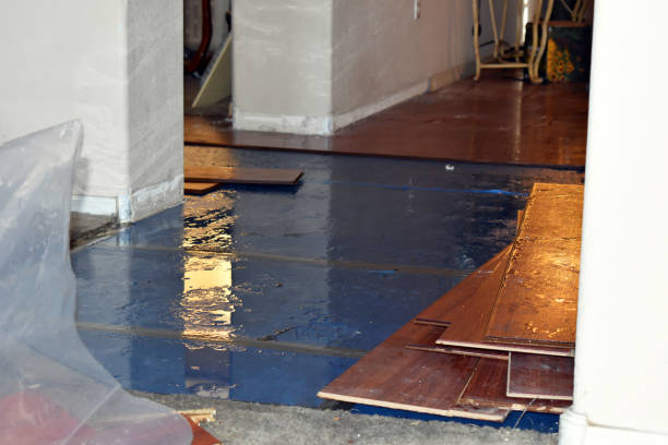 Professional Sewage Cleanup technician working in Mineola, NY